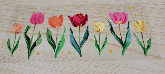 Tulip stars
