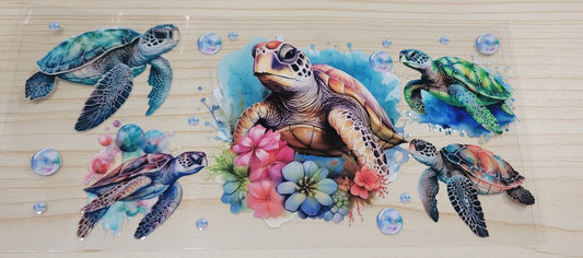 Sea Turtles